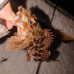 大雪警報発令中の中で